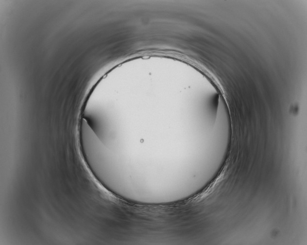 X0000099401533200806051156
