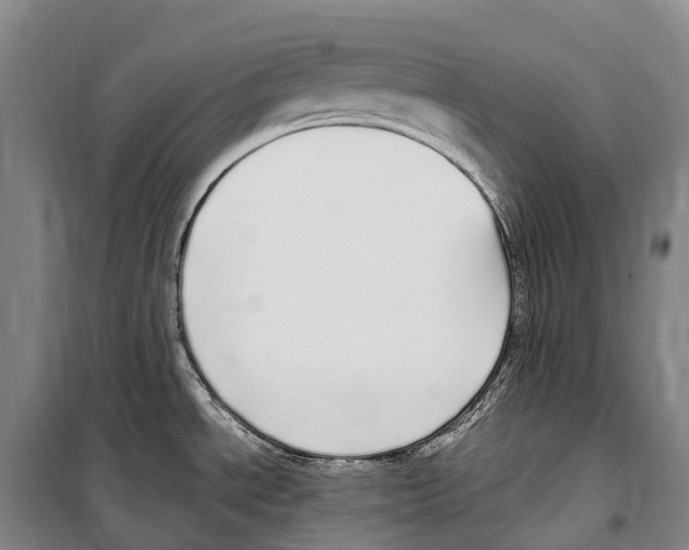 X0000099401534200806051156