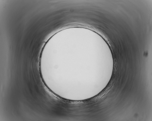 X0000099401535200806051156