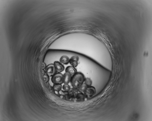 X0000099410001200805090738