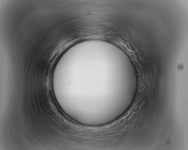 X0000099410002200805090738