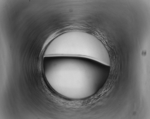 X0000099410004200805090738