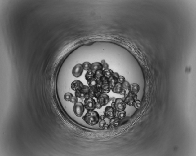 X0000099410005200805090738