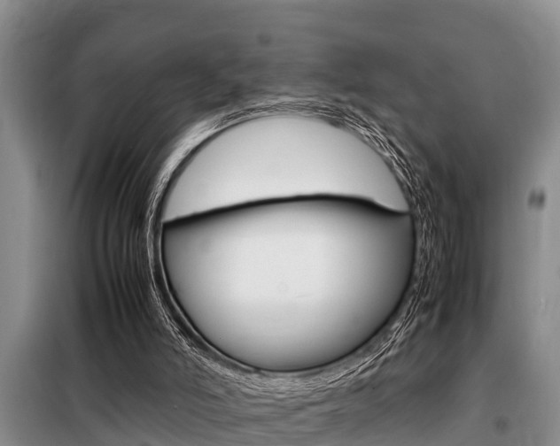 X0000099410006200805090738