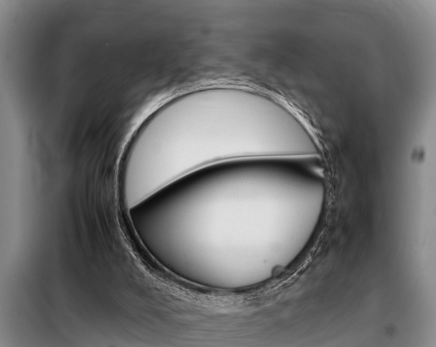X0000099410008200805090738