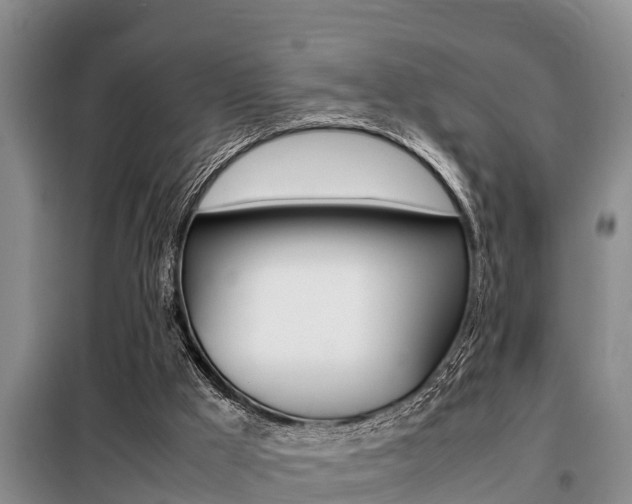 X0000099410009200805090738