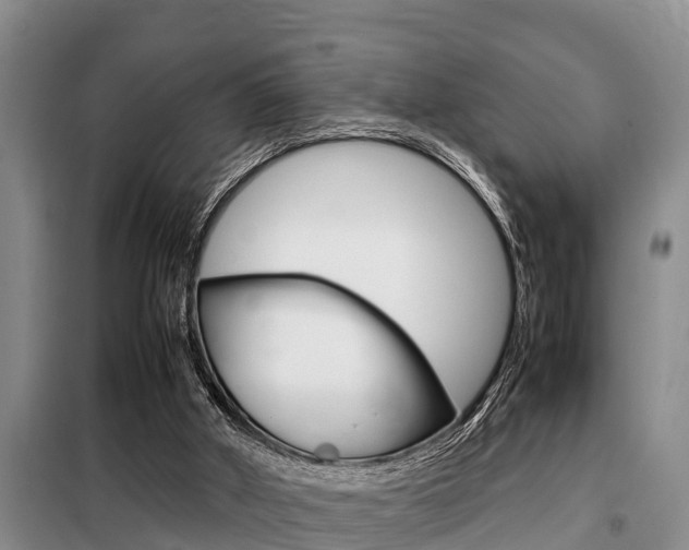 X0000099410010200805090738