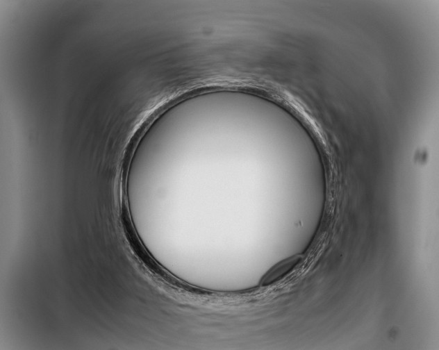 X0000099410011200805090738
