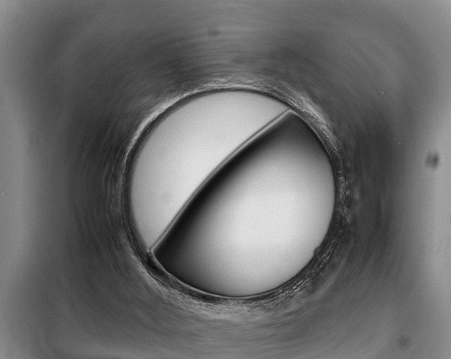 X0000099410012200805090738