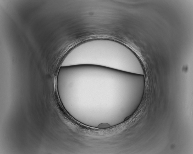 X0000099410013200805090738
