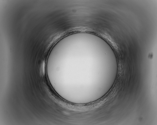 X0000099410014200805090738