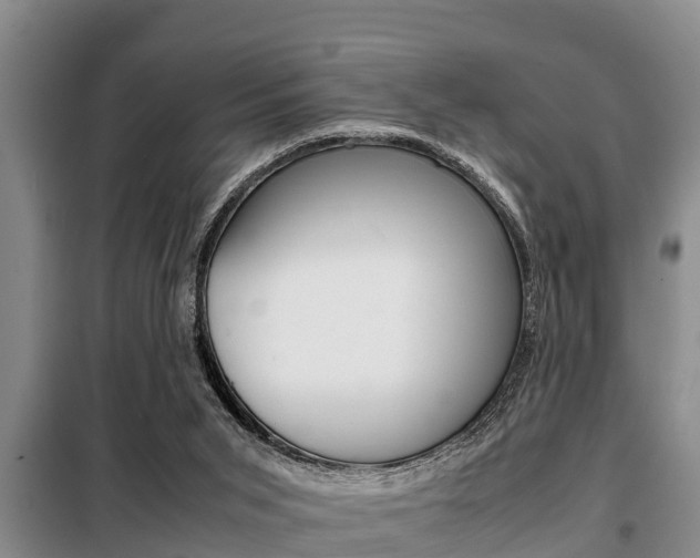 X0000099410015200805090738