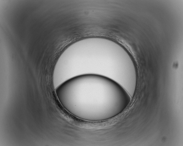 X0000099410017200805090738