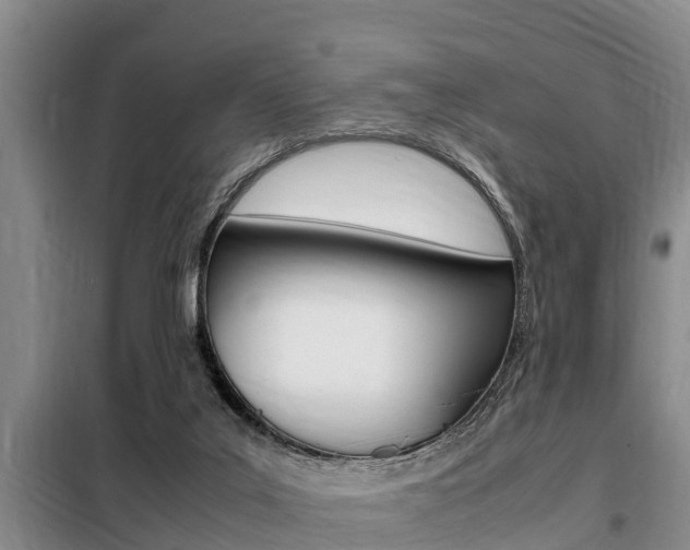 X0000099410019200805090738