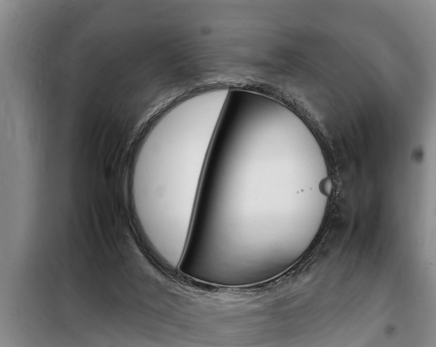 X0000099410020200805090738