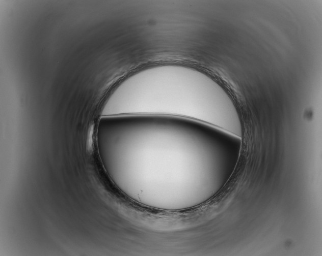 X0000099410024200805090738