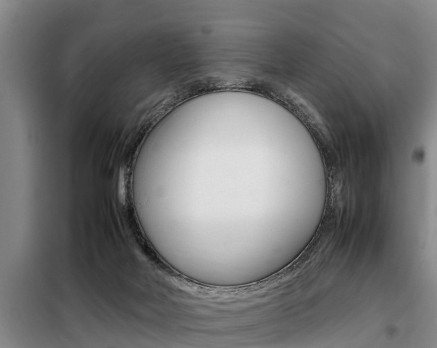 X0000099410026200805090738