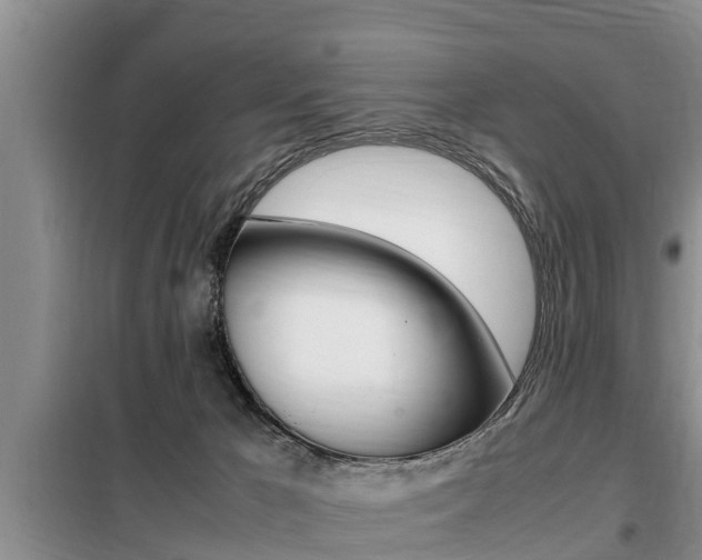 X0000099410029200805090738