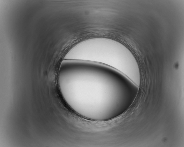 X0000099410031200805090738