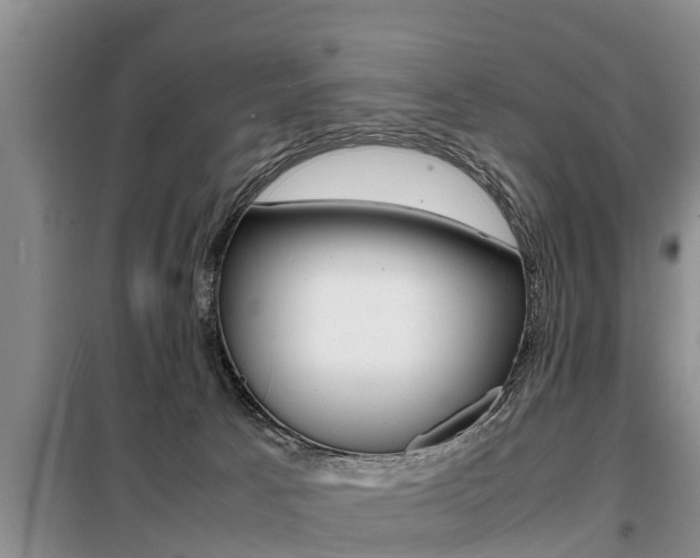 X0000099410033200805090738