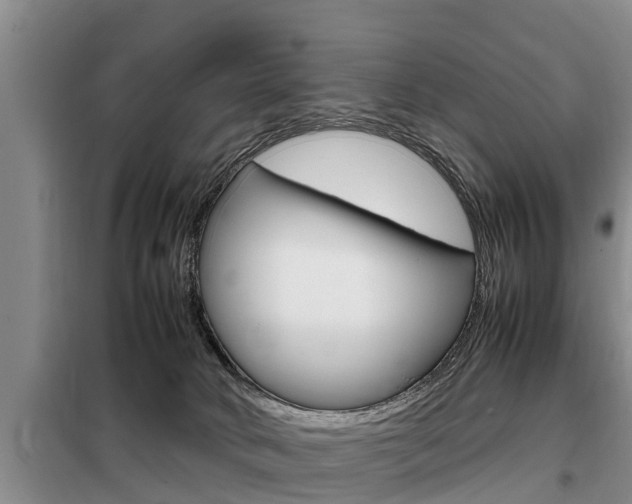 X0000099410034200805090738