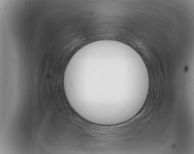 X0000099410037200805090738