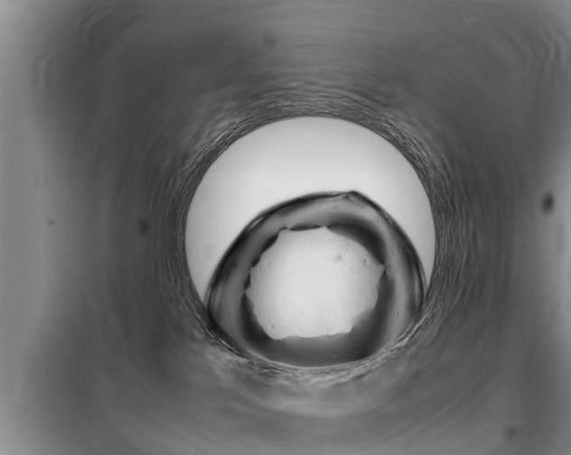 X0000099410041200805090738