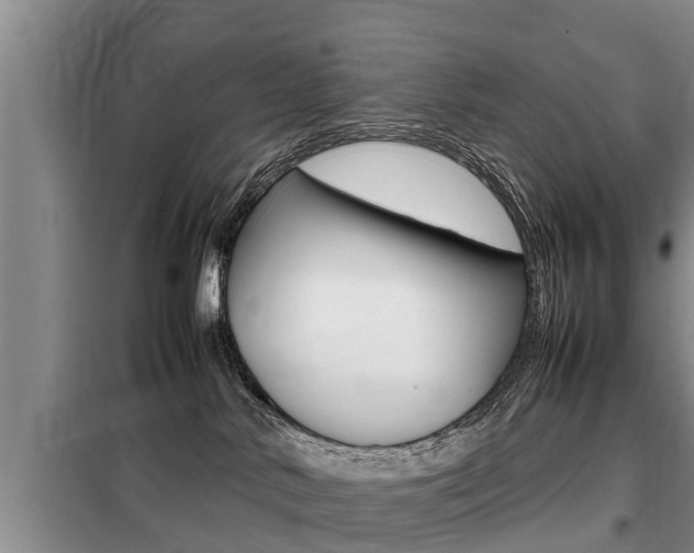 X0000099410042200805090738