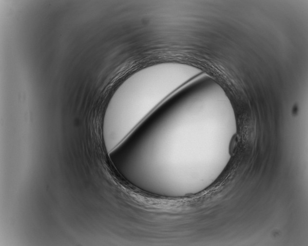 X0000099410044200805090738