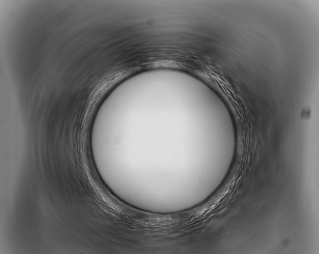 X0000099410049200805090737