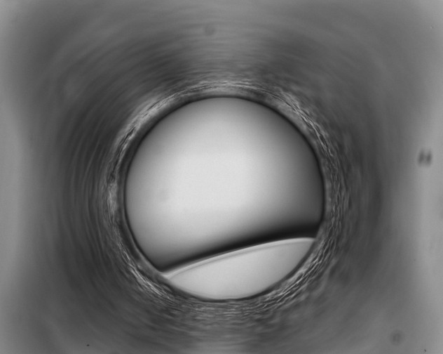 X0000099410050200805090737