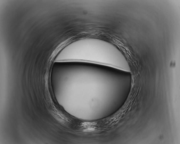 X0000099410051200805090737