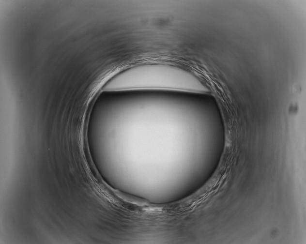 X0000099410052200805090737