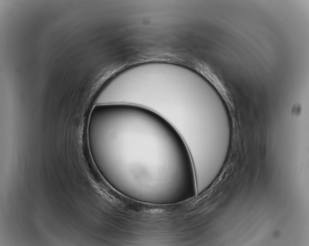 X0000099410058200805090737