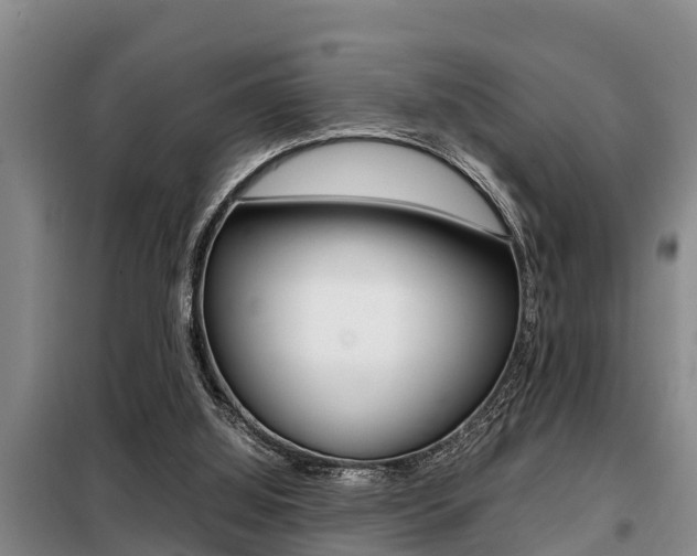 X0000099410060200805090737