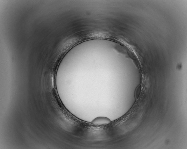 X0000099410061200805090737