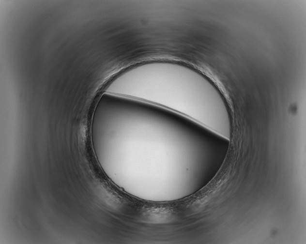 X0000099410063200805090737
