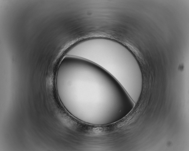 X0000099410064200805090737