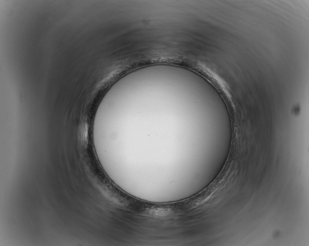 X0000099410067200805090737