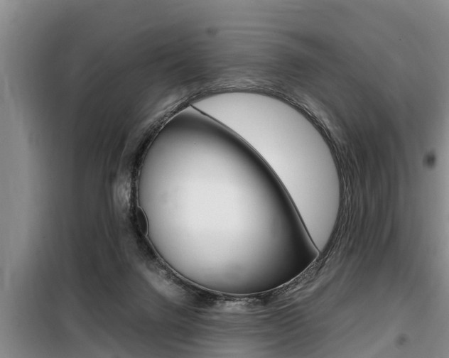 X0000099410072200805090737