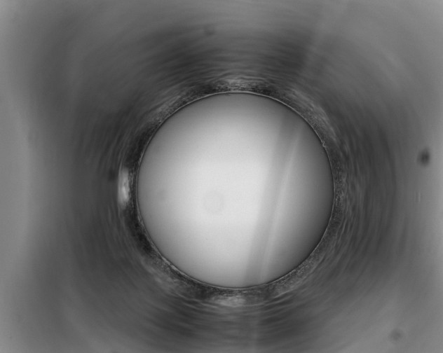X0000099410075200805090737
