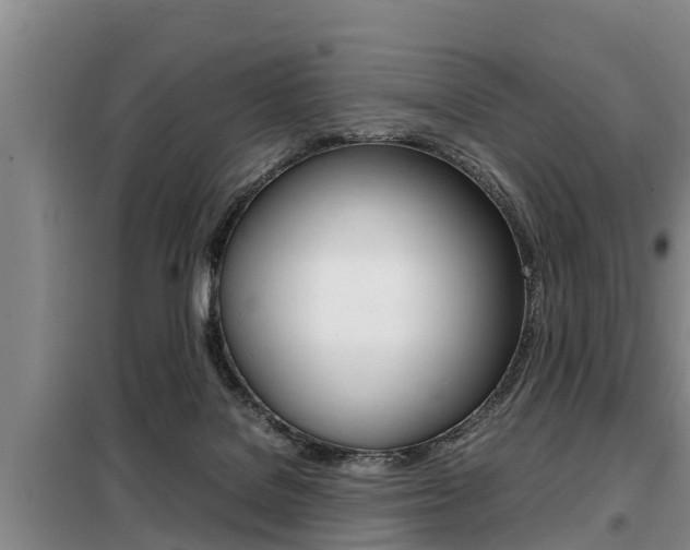 X0000099410076200805090737