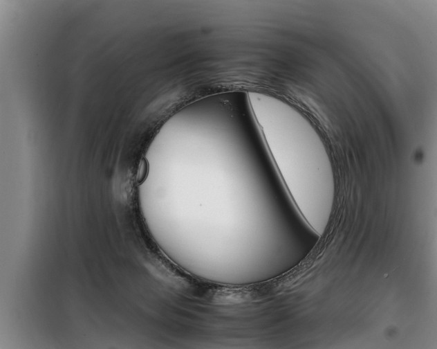 X0000099410077200805090737