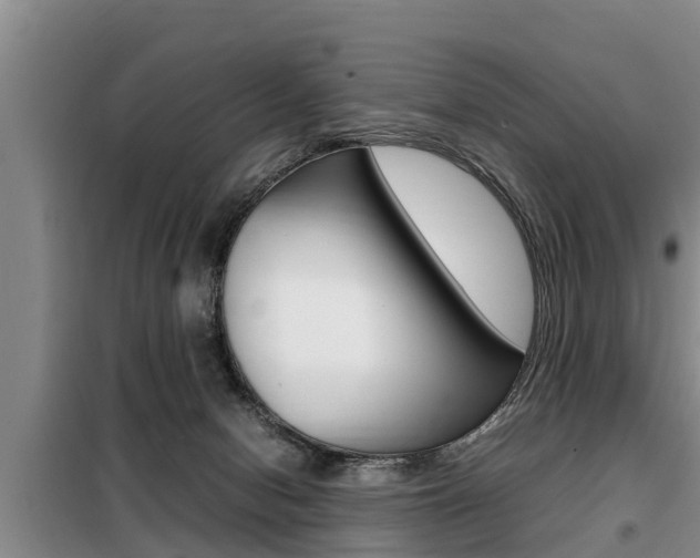 X0000099410078200805090737