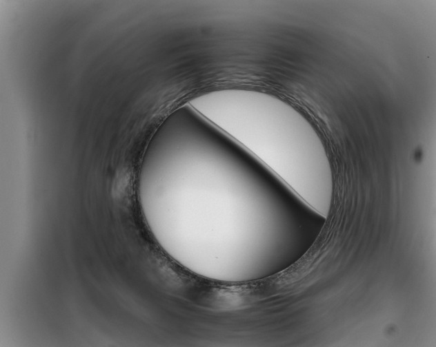 X0000099410079200805090737
