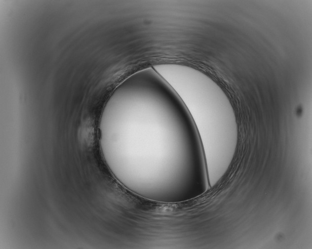 X0000099410080200805090737
