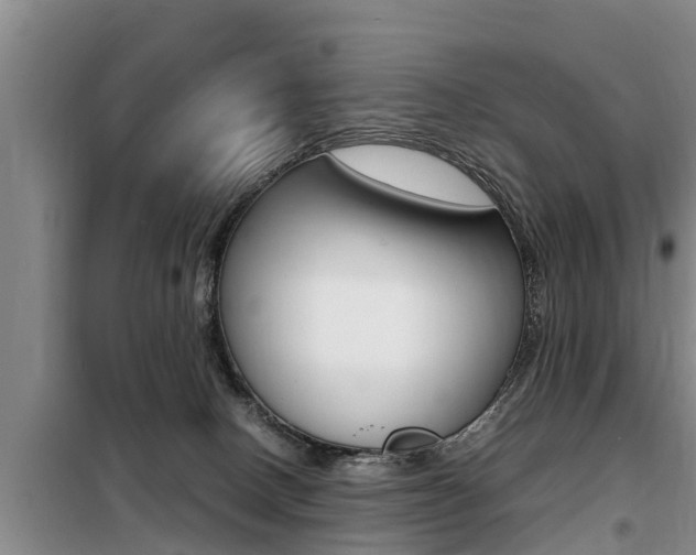 X0000099410082200805090737