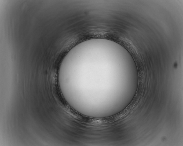 X0000099410083200805090737