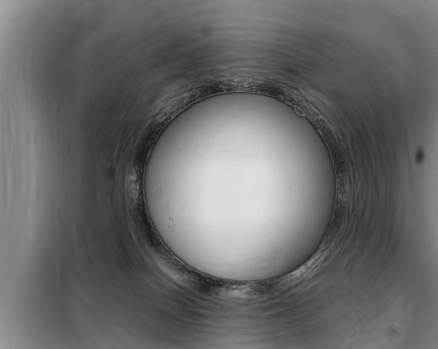 X0000099410086200805090737
