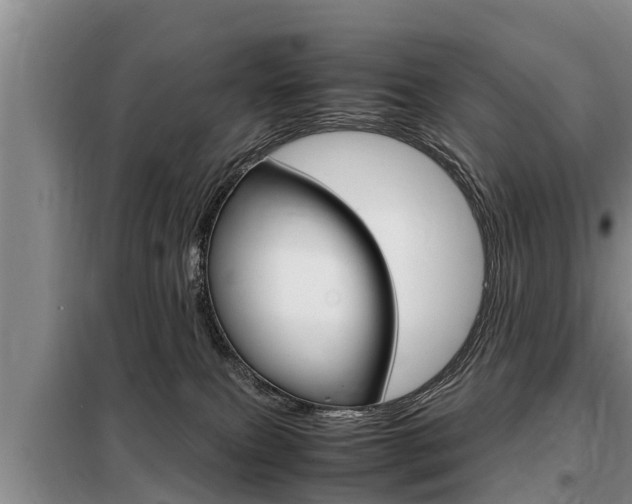 X0000099410087200805090737